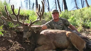 The "Alternate" Utah Limited Entry Archery Mule Deer Hunt