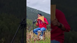 Goodbye My Love - ( Shorts Video ) Panflute Music - For Carlos Salazar