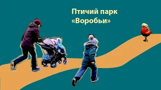 Влог 2. Птичий парк "Воробьи", обзор, плюсы и минусы