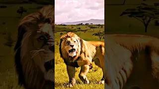 Kraven The Hunter Edit 🦁 | Aaron Taylor edit 🔥 #edit #hunter #shorts