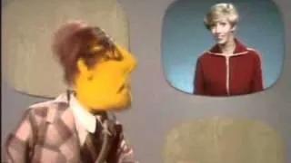 Muppet show - Маппет новости #2(muppet news flash).avi
