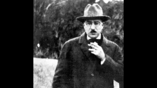 Fernando Pessoa   Libro del desasosiego apartes