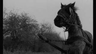 The Turin Horse Trailer