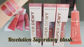 Makeup Revolution Superdewy liquid blush.  You got me blushing.  Flushing for you. Blush Me Up.