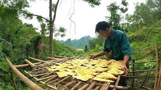 Preserving food harvested in the new forest, Survival Instinct, survival, Episode 145