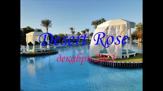 Desert Rose Hurghada. Тайны райского сада. декабрь 2023