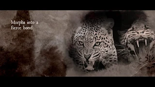 Leopard's Fury by Christine Feehan A Leopard Novel