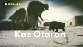 Kaz Otaran Belgeseli