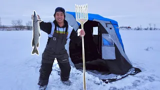 Darkhouse Spearing Giant Pike Through the Ice! (CATCH CLEAN COOK)