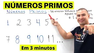 FÁCIL e RÁPIDO | NÚMEROS PRIMOS