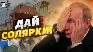 Разъяренные российские фермеры устроили бунт: Путин, дай солярки!
