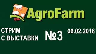 Бонусный стрим с выставки АгроФерма-2018 AgroFarm