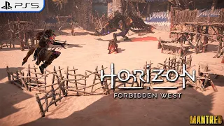 Horizon Forbidden West #29,2 | Прохождение Арены "Высшие Хищники" | PS5