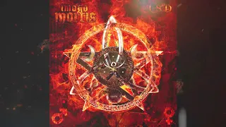 'LSD' - The New Imago Mortis Album (teaser)