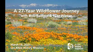 A 27-Year Wildflower Journey