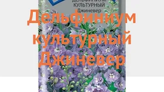 Дельфиниум культурная Джиневер (dzhinever) 🌿 Джиневер обзор: как сажать, семена дельфиниума Джиневер