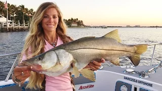 Florida Saltwater Inshore Shark & Snook Fishing Video