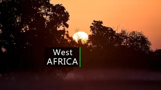 Dawn in the West African savanna - Nature and wildlife sounds