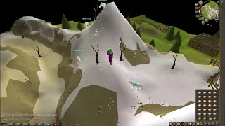 After 13 hours of gameplay on OSRS i decide to make a trip to Khazard troops in Ardougne