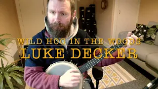 Wild Hog In The Woods - Clawhammer Banjo