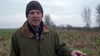 How farmers are improving Biodiversity