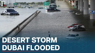 Dubai: Streets Submerge Under Water as Storm Dumps Year's Worth of Rain In a Day