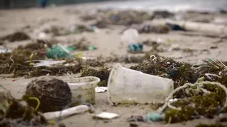 How microplastics are moving throughout our oceans