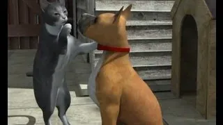 En iyi arkadaş Cat and Dog best friends   Лучшие друзья