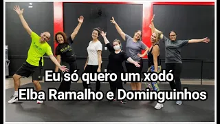 Eu só quero um xodó - Elba Ramalho e Dominguinhos - Coreografia Tom Agito