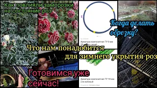 Розы заморозки. Про укрытия для роз и хвойных. Розы зимой. Что нужно купить. Сад. Как прогнать крота