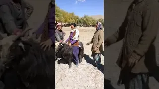 ladakh movie