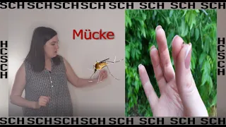 Урок 5. Драматична історія про комара та правила читання буквосполучень німецької мови.