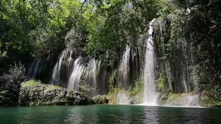 Звуки природы  Пение птиц, шум леса, реки,водопада