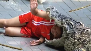 Thai Crocodile Handler Puts Head In Crocodile's Mouth For Just £4 A Day