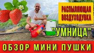 ОБЗОР: РАСПЫЛЯЮЩАЯ ВОЗДУХОДУВКА «УМНИЦА». Мини пушка