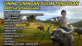 UNING UNINGAN GONDANG BATAK BERTUA SITANGGANG SULIM TONGOSAN