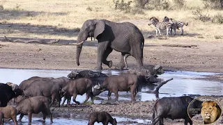 The Beauty Of Kruger National Park - Kumana Dam