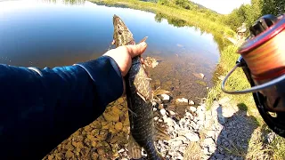 РЫБАЛКА С БЕРЕГА НА ВОДОХРАНИЛИЩЕ ( КРАСИВЫЕ КАДРЫ АТАКИ ЩУКИ )