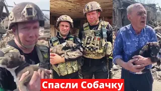 Спасатели и полицейские Донецкой области спасли собачку из-под завалов в поселке Михайловка.