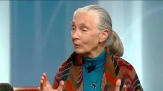 Jane Goodall On Animal Consciousness And The Realities Of The Ivory Trade