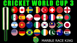 Cricket World Cup Marble Race 3  Marble Race King