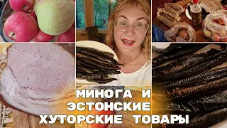 Эстония.Обзор и дегустация миноги и фермерских продуктов с Фестиваля Миноги 2023 в Нарва Йыэсуу.Влог