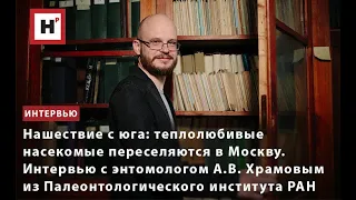 ТЕПЛОЛЮБИВЫЕ НАСЕКОМЫЕ ПЕРЕСЕЛЯЮТСЯ В МОСКВУ. ИНТЕРВЬЮ С ЭНТОМОЛОГОМ АЛЕКСАНДРОМ ХРАМОВЫМ