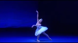 SWAN LAKE - Odette Variation (Polina Semionova - Zurich Ballet)