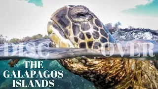 GALAPAGOS ISLANDS CRUISE | Top Things to Do & See