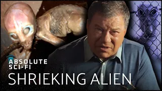 Are Aliens Real? | William Shatner's Weird Or What | Absolute Sci-Fi