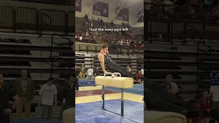 I was so nervous for that routine 😅 #gymnastics #gymnast #gym #compete #sports #ncaa #olympics #d1