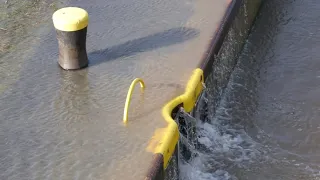 Hochwasser an der Moselstaustufe in Koblenz am 04.02.2021 um ca. 13:00