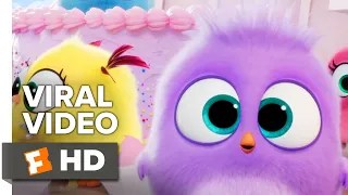 The Angry Birds Movie 2 Viral Video - Happy Mother's Day (2019) | Fandango Family