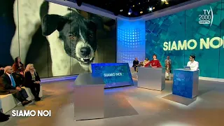 Siamo Noi (Tv2000), 6 maggio 2024 - Cani aggressivi: esistono razze pericolose?